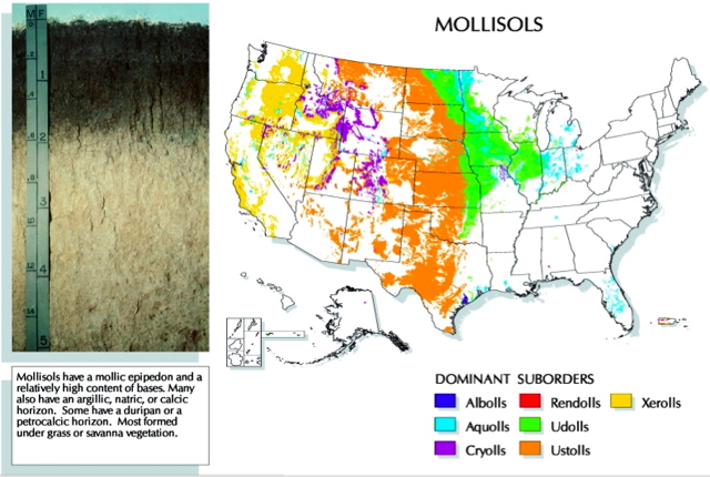 US Mollisol map