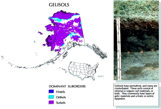 US Gelisol map