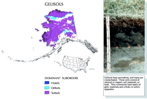 US Gelisol map