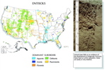 US Entisol map