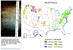 US Inceptisol map