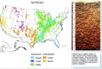 US Alfisol map