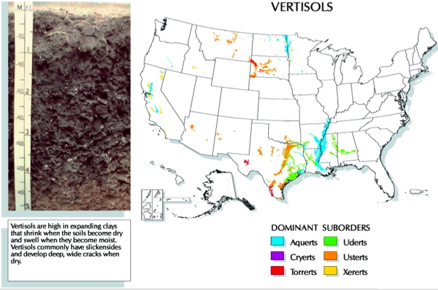 US Vertisol map