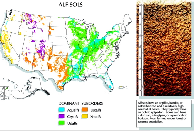 US Alfisol map