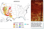 US Aridisol map